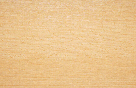 beech hardwood suppliers